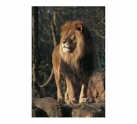 WUFIEA Quadro Su Tela Leone Leone sulla roccia per soggiorno, arredamento per la casa(marrone178)-40x60cm Non incorniciato