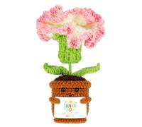 WUISOLQP Regali per le donne fatti a mano chiodi di garofano all'uncinetto fiore Pocket Hug Garofani fatti a mano con parole di ringraziamento positive, regali divertenti per zia sorella fidanzata