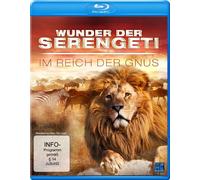 Wunder der Serengeti - Im Reich der Gnus