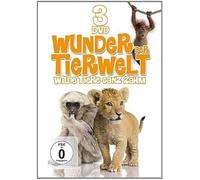 Wunder Der Tierwelt