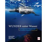 Wunder unter Wasser: Unvergessliche Begegnungen in unseren Ozeanen