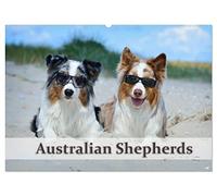 Wunderbare Australian Shepherds (Wandkalender 2026 DIN A2 quer), CALVENDO Monatskalender: Australian Shepherds in wunderschönen Bildern