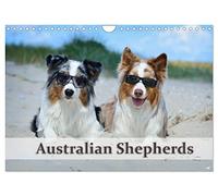Wunderbare Australian Shepherds (Wandkalender 2026 DIN A4 quer), CALVENDO Monatskalender: Australian Shepherds in wunderschönen Bildern