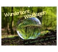 Wunderbare Waldkugeln (Wandkalender 2026 DIN A2 quer), CALVENDO Monatskalender: Das Leben ist eine Art Waldspaziergang - man muß nur ein bißchen auf ... und kann bedenkenlos die Schönheit genießen.