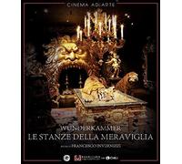 La stanza delle meraviglie – Blu-ray – CG Entertainment