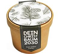 Wunderle Mini Set di Coltivazione - Il tuo Albero di Natale 2030 - 1 pz.