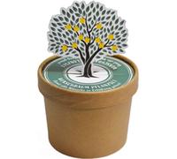 Wunderle Set di Coltivazione - Albero dei Desideri - 1 pz.
