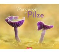 Wunderwelt der Pilze Kalender 2027: Einzigartige Nahaufnahmen von heimischen Pilzen im Wald und aus dem Garten. Eindrucksvoller Jahres-Wandkalender 2027 im Blickfang-Format 44 x 34 cm
