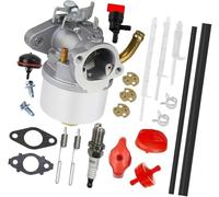 WUPEDI Gruppo carburatore Compatibile con Ariens 921022 Deluxe 28 Snow Blower Two Stage 249cc Kit pistone Albero Motore Cilindro