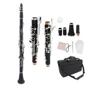 WUQIMUSC Chiavi professionali per clarinetto in ebanite nichelato, con barili, accessori per ance dal suono piacevole, custodia resistente (clarinetto gkey-clarinetto)