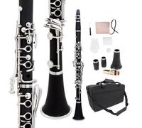 WUQIMUSC Chiavi professionali per clarinetto in legno di ebanite nichelato, con canna e accessori per ance dal suono piacevole, custodia resistente (akey-clarinetto)