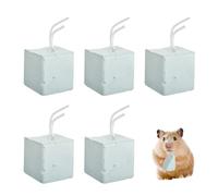 WUSJCOF Pietra Minerale di qualità, Giocattolo da Masticare in Pietra per Affilare i Denti Dell'Animale Domestico, Smerigliatrice per Denti Minerali di Coniglio Criceto 5 Pezzi