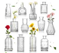 WUSUPU Mini Vaso Vetro per Matrimonio,12 Vintage Vaso Fiori Vetro,Vasi in Vetros Mini Vaso Trasparente per Composizioni Floreali,Centrotavola per Matrimoni, Decorazioni per la Casa e le Feste