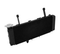 WUTBHGQXWIP Radiatore di raffreddamento nero compatibile con moto Suzuki SV650 SV650S SV650A SV650SA 2003-2004