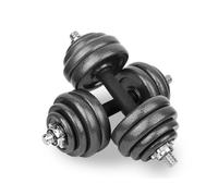 wuuhoo® Set Manubri Phil - Barra per Manubri con Dischi in Ghisa 27/30 mm, Manubri in Acciaio Cromato con Chiusura a Stella - Attrezzatura Fitness per Casa 30 kg
