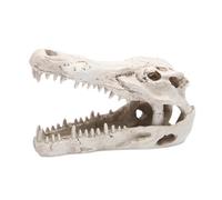 WUUISDNX Ornamenti Decorativi in Resina Sintetica di qualità per acquari e Case, progettati per Nascondere i Pesci Mentre nuotano Dentro e Fuori da più, Statuette di Dinosauri e Oggetti