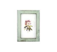 Wuuooei Cornice per Foto Vintage, Cornici Foto da Parete Legno, Portafoto in Legno da Decorare Piccole Montaggio Verticale o Orizzontale per Decorazione della Casa da Tavolo 9 x 13 cm (Verde)