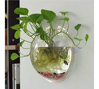 WUURAA Pot Wall Hanging Mount Bubble Aquarium Bowl Fish for Tank Aquarium Home Decorati Acquari per Pesci con Supporto