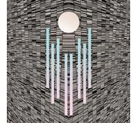 WuW L'Orchaostre (Vinyl LP) 12" Album