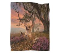 WUXHRL Coperta in Pile Con Chihuahua, Plaid Coperta Per Letto, Divano, Ufficio Con Rubber Tree, Lusso E Confort Idee Regalo Per Ragazzi E Bambini 80x90inch(200x230cm)