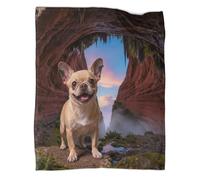 WUXHRL Coperta in Pile Con French Bulldog, Plaid Coperta Per Letto, Divano, Ufficio Con Cave, Lusso E Confort Idee Regalo Per Adulti/Bambini 70x80inch(180x200cm)