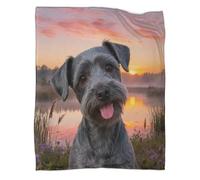 WUXHRL Coperta in Pile Con Kerry Blue Terrier, Plaid Coperta Per Letto, Divano, Ufficio Con Riverside Grass, Super Morbida E Calda Idea Regali Per Ragazzi E Bambini 80x90inch(200x230cm)