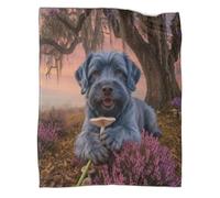 WUXHRL Coperta in Pile Con Kerry Blue Terrier, Plaid Coperta Per Letto, Divano, Ufficio Con Rubber Tree, Lusso E Confort Idee Regalo Per Ragazze, Ragazzi, Adulti 50x60inch(127x152cm)