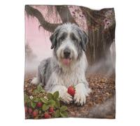 WUXHRL Coperta in Pile Con Old English Sheepdog, Plaid Coperta Per Letto, Divano, Ufficio Con Giant Tree, Super Morbida E Calda Idee Regalo Per Adolescenti E Adulti 50x60inch(127x152cm)