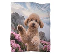 WUXHRL Coperta in Pile Con Poodle, Plaid Coperta Per Letto, Divano, Ufficio Con Cliff, Super Morbida E Calda Idee Regalo Per Adolescenti E Adulti 60x80inch(150x200cm)