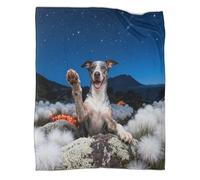 WUXHRL Coperta in Pile Con Whippet, Plaid Coperta Per Letto, Divano, Ufficio Con Rocks, Lusso E Confort Idee Regalo Per Adolescenti, Adulti 50x60inch(127x152cm)