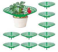 Wuyue Hua Confezione da 10 supporti per la coltivazione di fragole e frutta, supporto per la coltivazione di fragole