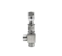 WVRWFDLW G 1/8"" 1/4"" NPT 3/8"" 1/2"" 304 SS Valvola a Spillo di dosaggio Micro angolare WL94H-320P Valvola di Regolazione del Controllo del Flusso variabile 32 MPA(G Thread,45299)