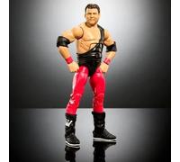 WWE Survivor Series Jerry Lawler Elite Action Figure