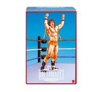 WWE Ultimate Edition ULTIMATE WARRIOR & HONKY TONK MAN Coliseum Collection #7