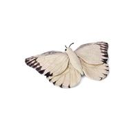 WWF Peluche Farfalla (20cm) Pupazzo