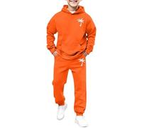 WWricotta Set Bambino Felpa con Stampa Leone e Pantaloni Jogging, Grigio, Look Selvaggio