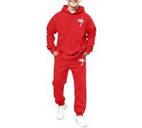 WWricotta Set Bambino Felpa con Stampa Leone e Pantaloni Jogging, Grigio, Look Selvaggio