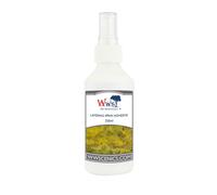 WWS Colla Spray per Strati di Erba Statica - Flacone 250ml - Modellismo Wargame