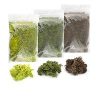 WWS Muschio Naturale per Fogliame Multi pack - Lichene Modellismo Ferroviario