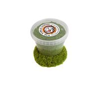 WWS War World Scenics WWG 2mm Spring Static Grass 500ml Tub