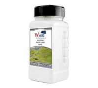 WWS War World Scenics WWScenics | 0,5mm Neve Scatter | 500ml Can | WSG1-088 | Materiale di Scenario Modello