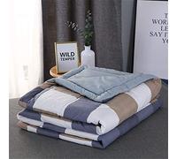 WWYL Le Trapunte Primaverili, Estive, Autunnali E Invernali Sono Ipoallergeniche, in Fibra di Poliestere 100% Cotone, Antiallergiche. (Blu,150 x 200 cm 1.0 kg)