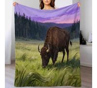 WXLWHR Coperta in Pile Con European Bison, Coperta Per Letto, Divano E Divani Con Open Meadow, Morbida E Accogliente, Idee Regalo Per Ragazze, Ragazzi, Adulti 50x60inch(127x152cm)