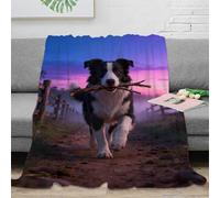 WXLWHR Coperta Plaid Pile Con Border Collie, Coperta Per Divano, Letto Con Country Path, Super Soffice E Pelosa, Idee Regalo Per Ragazze, Ragazzi, Adulti 60x80inch(150x200cm)