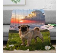 WXLWHR Coperta Plaid Pile Con Pug, Coperta Per Divano, Letto Con Sea of Clouds Sunrise, Morbida E Accogliente, Idee Regalo Per Adolescenti, Adulti 60x80inch(150x200cm)