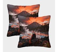 WXLWHR Federe Cuscini Red Panda Set Di 2, Copricuscino Microfibra Antimacchia, Cerniera Invisibile, Federa Cuscino Divano Per Divano, Sedia, Camera 40x40cm