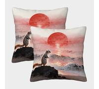 WXLWHR Federe Cuscini Siberian Flying Squirrel Set Di 2, Copricuscini Microfibra Antimacchia, Cerniera Nascosta, Federe Decorative Per Divano, Sedia, Camera 50x50cm