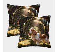 WXLWHR Federe Per Cuscini English Cocker Spaniel Set Di 2, Copricuscini Con Woods Poliestere Morbido Moderni Decorativi Per Soggiorno/Ufficio 50x50cm