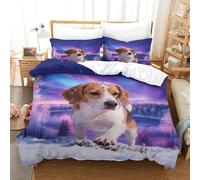 WXLWHR Set Di Biancheria Da Letto Con Motivo Beagle Morbida Microfibra Set Copripiumino Frozen Lake Snowfield Con Federe Confortevole E Utilizzabile Tutto L'anno Double（200x200cm）