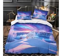 WXLWHR Set Di Biancheria Da Letto Con Motivo Snowy Owl Morbida Microfibra Set Copripiumino Frozen Lake Snowfield Con Federa Per Piccole Camere Da Letto E Alloggi Studenteschi King（220x240cm）